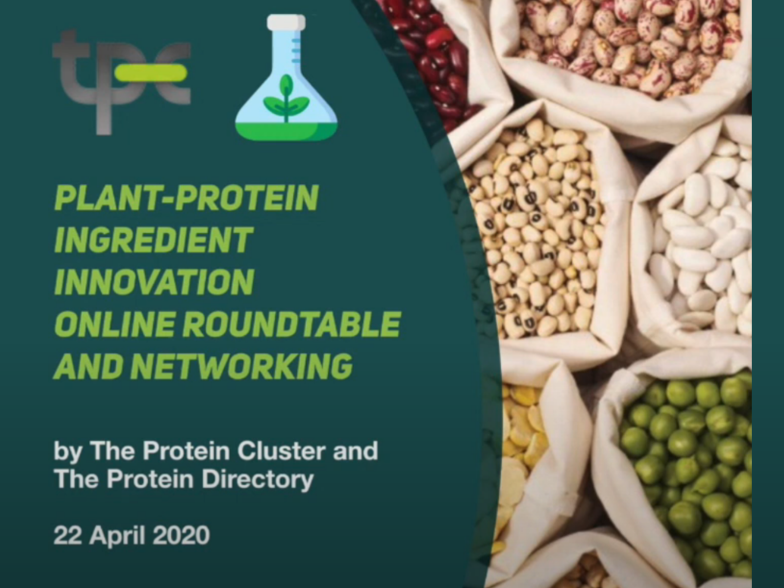 Watch The latest plant protein ingredients Webinar
