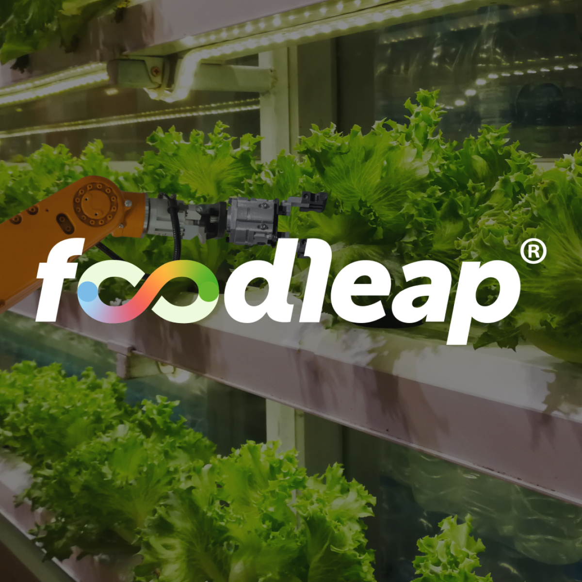How Foodleap benefits you: join our introduction on 11 May